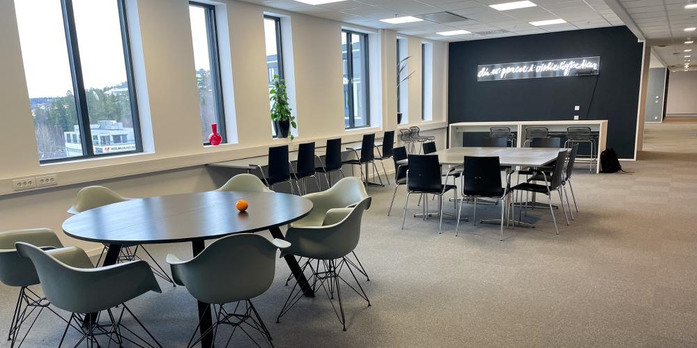 Do you wish to have a workplace at Holmlia?