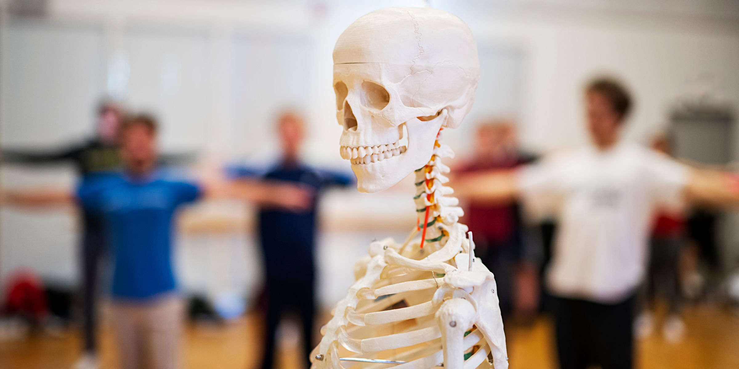 Et skjelett står foran en gruppe mennesker som trener i en gymsal.