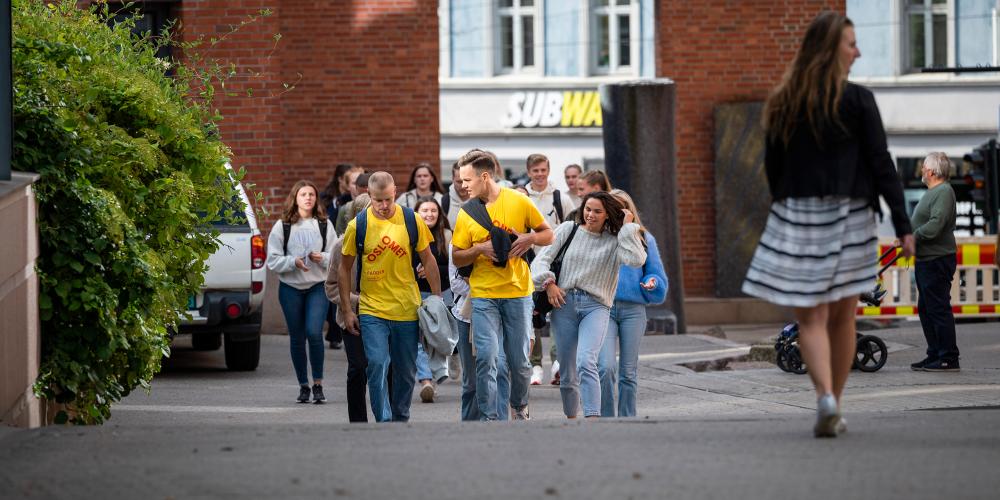 Du er til god hjelp som fadder for nye studenter på ingeniør- og datastudiene