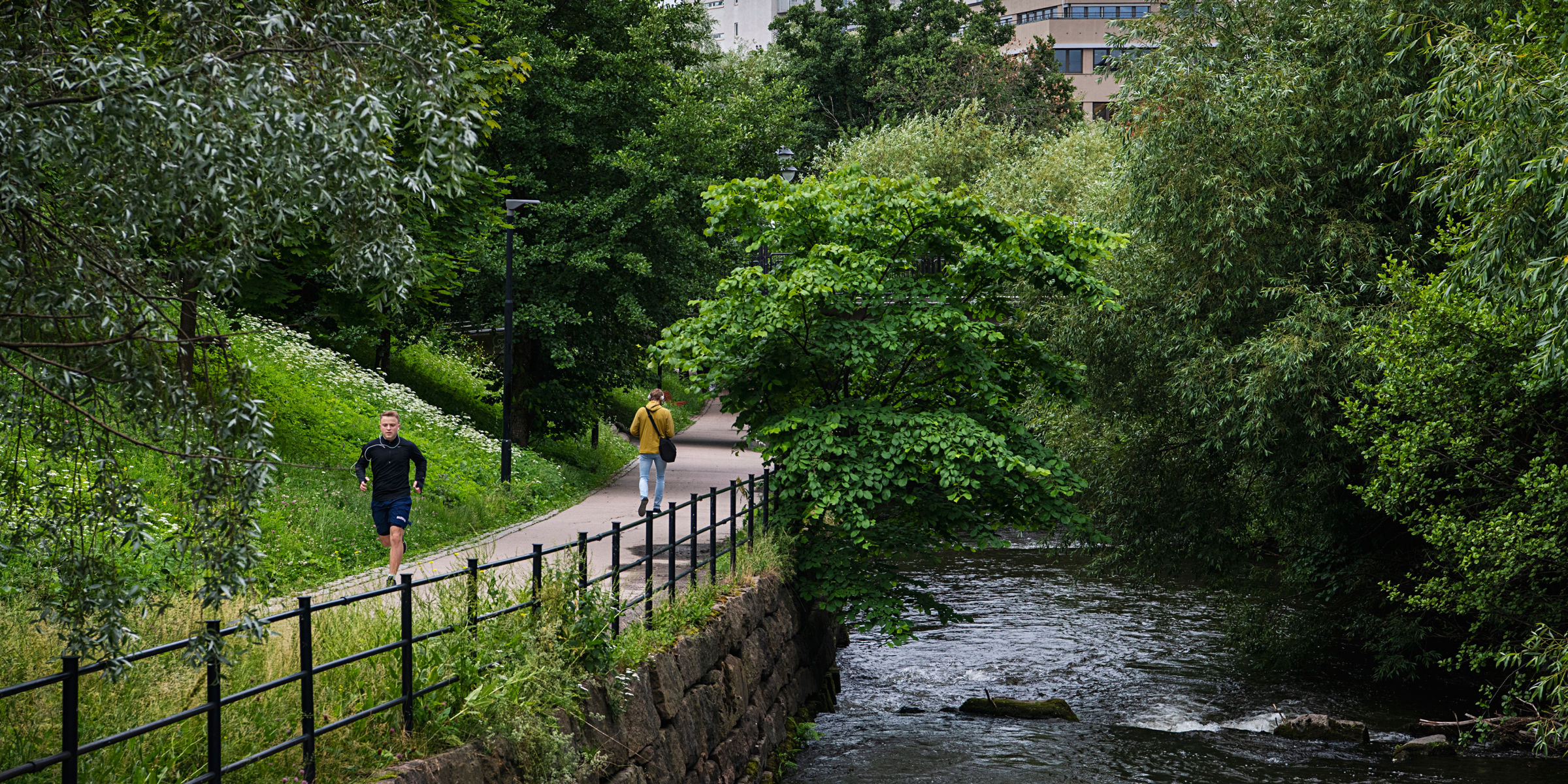 Akerselva with a hiking trail next to it and high-rise buildings behind.