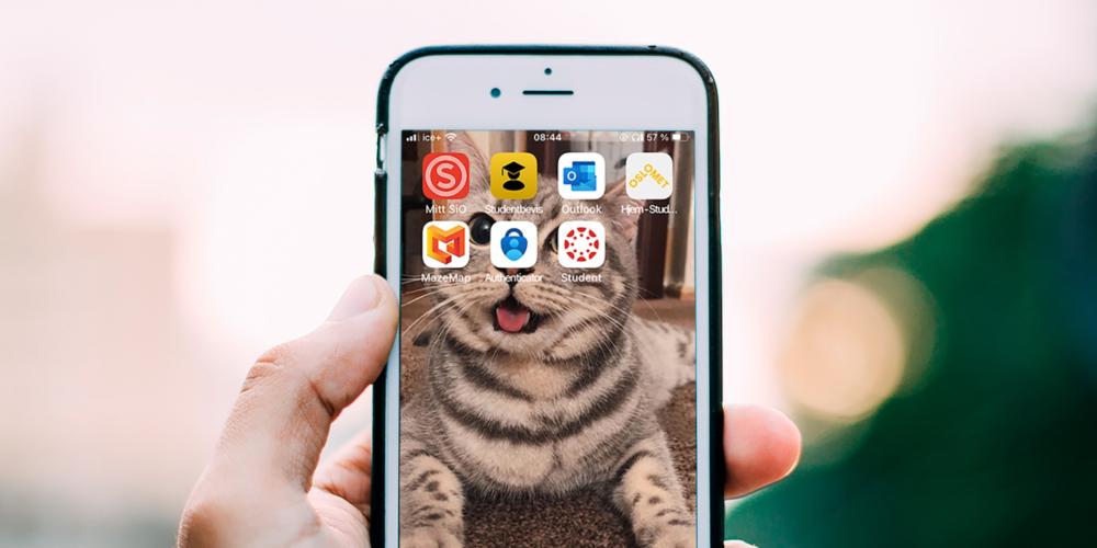 Gain control of your student life with these apps