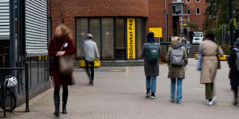 PLIVO-opplæring for ansatte