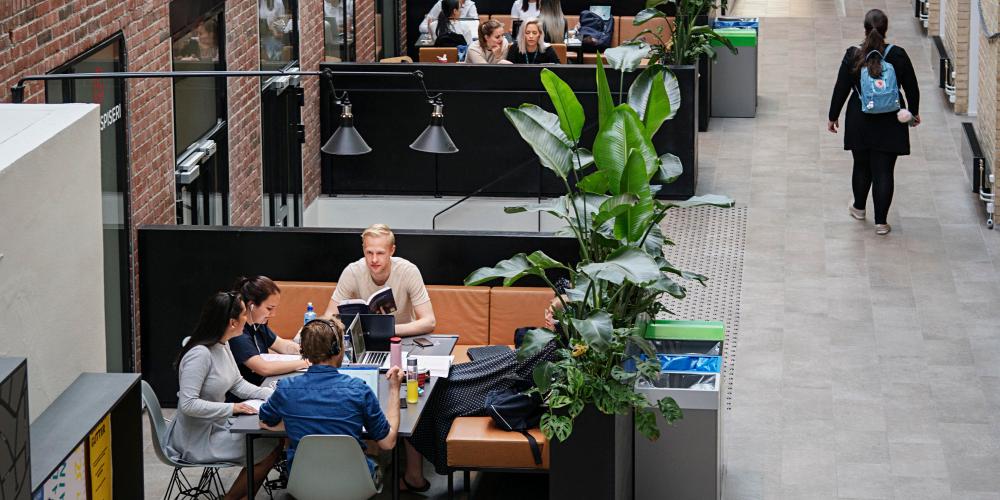 The SHoT survey: How are the students doing?