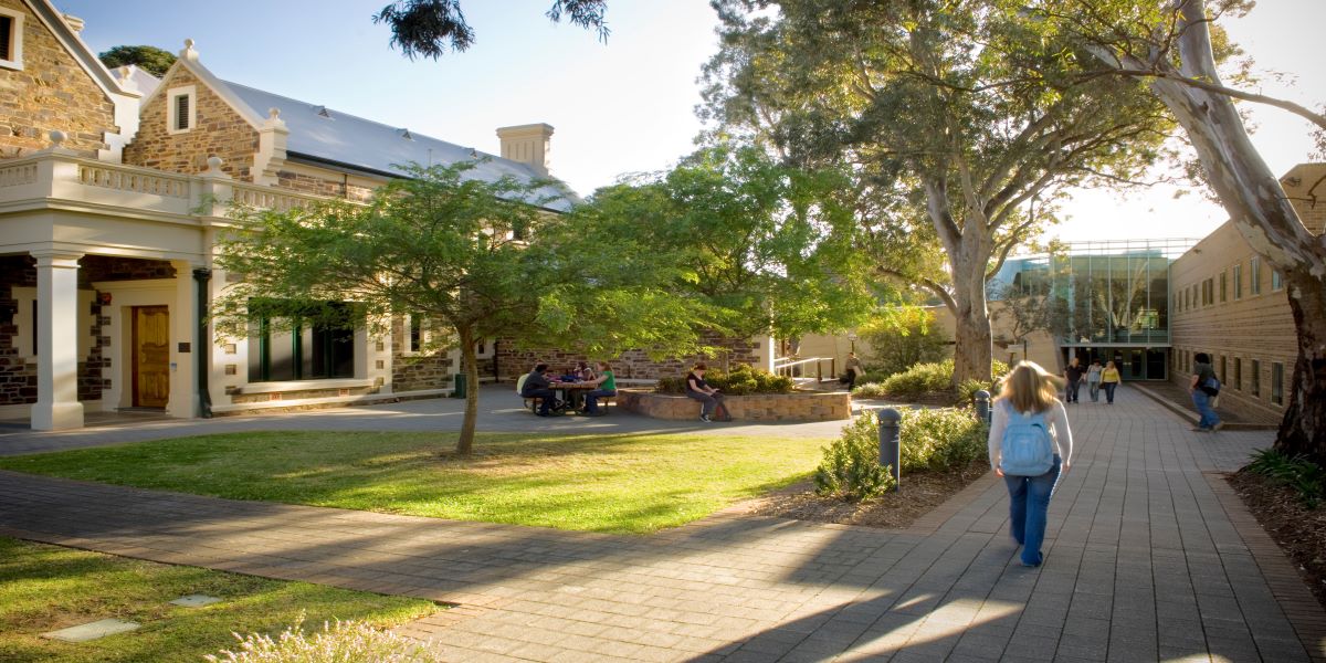 Magill campus with gum trees providing a green and shady campus experience