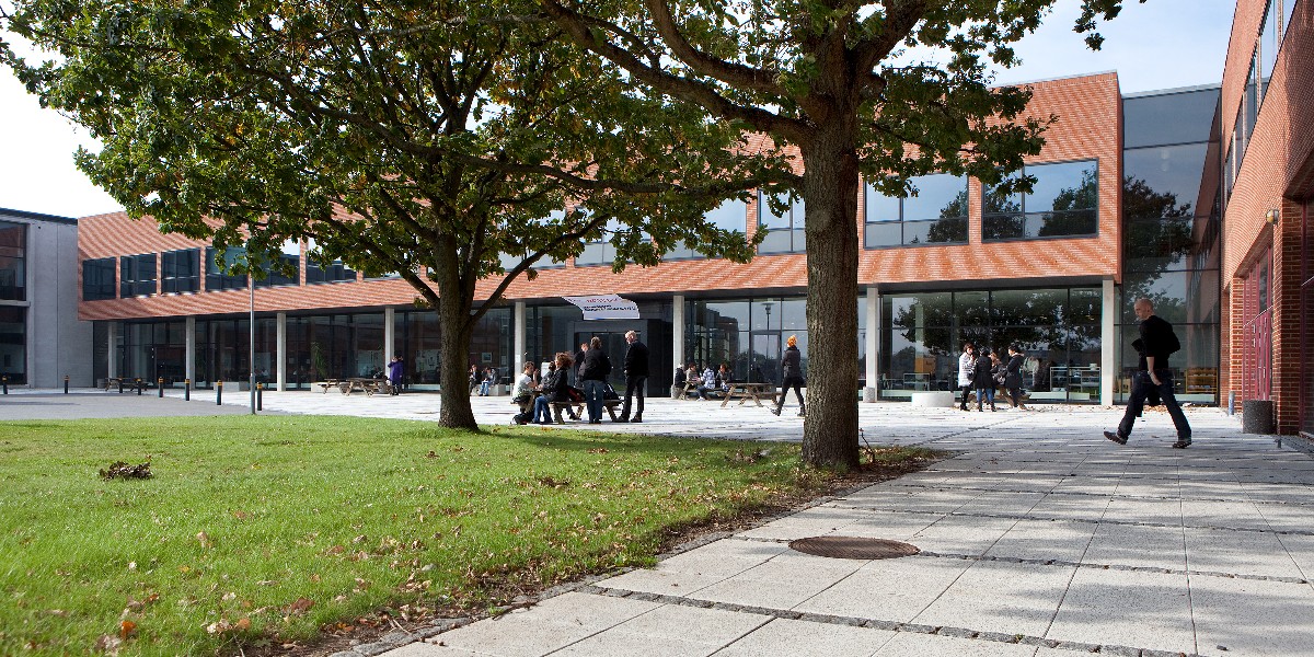 University College South Denmark